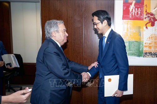Vietnam’s Ambassador presents credentials to UN Secretary-General - ảnh 1