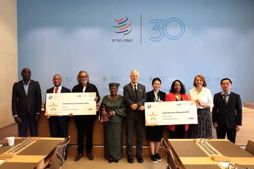 Vietnamese biomaterial developer wins WTO’s Small Business Champions Competition - ảnh 1