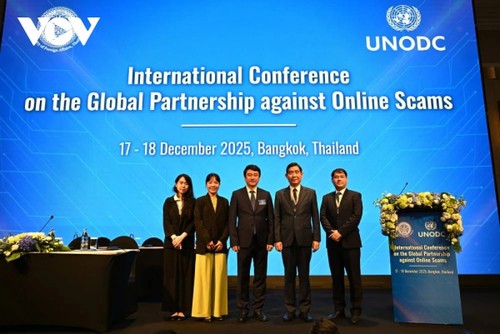 Vietnam calls for global partnership to combat online scams - ảnh 1