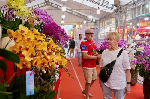 Hanoi Old Quarter expands Spring Flower Market  - ảnh 1