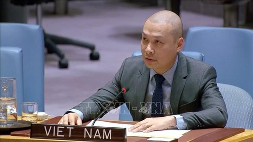 Vietnam shares insights into fair, inclusive social development at UN meeting - ảnh 1