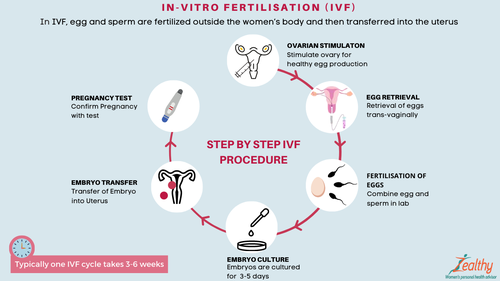 The secret behind Vietnam's explosive growth in IVF/infertility treatment - ảnh 4
