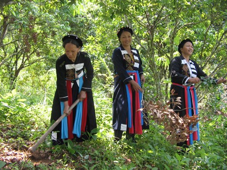 Lokakarya yang bertema “Masalah-masalah etnis minoritas perlu diteliti dan diamandir dalam UUD 1992. - ảnh 1