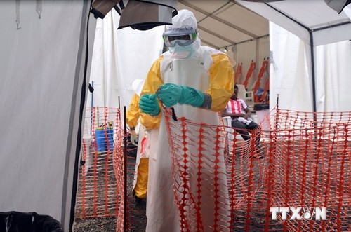 WHO mengumumkan rekomendasi tentang keselamatan dalam mengobati Ebola - ảnh 1