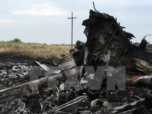 Malaysia menginginkan diadakannya satu pengadilan internasional  untuk kasus jatuhnya pesawat terbang MH17 - ảnh 1