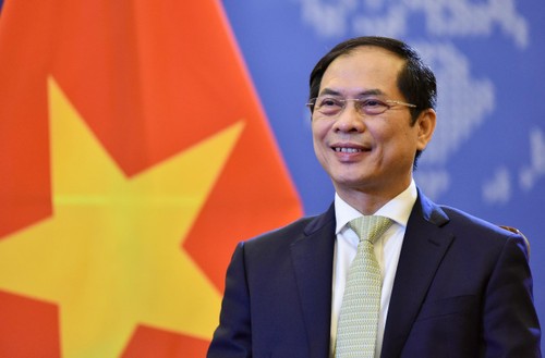 Diplomatik Viet Nam Demi Pembelaan dan Pembangunan Tanah Air di Bawah Sinaran Resolusi Kongres Nasional XIII PKV - ảnh 1