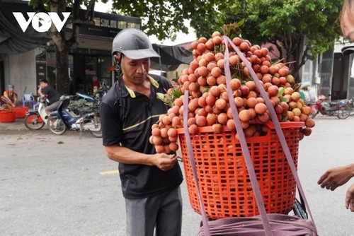 Petani Provinsi Hai Duong Perhebat Transformasi Digital - ảnh 2