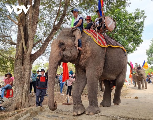 ພິທີໄຫວ້ບູຊາໃຫ້ສຸຂະພາບຂອງຊ້າງທີ່ເປັນເອກະລັກຢູ່ ດັກລັກ - ảnh 1