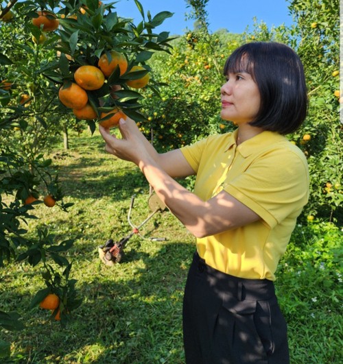 ນາງ ຫວູທິເລະຖຸ໋ຍ ແບບຢ່າງສ້າງເສດຖະກິດຊົນນະບົດໃນແຂວງ ຮວ່າບິ່ງ - ảnh 1