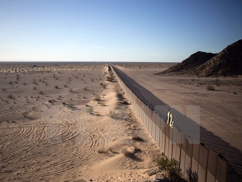 México reacciona fuertemente ante declaraciones de Donald Trump - ảnh 1