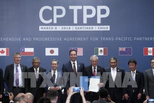 Vietnam ejerce papel importante en estrategia japonesa sobre CPTPP - ảnh 1