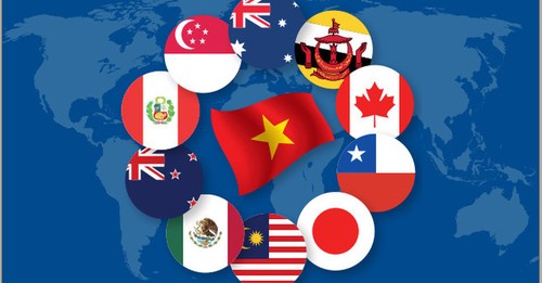 CPTPP: Oportunidades y desafíos para el desarrollo de Vietnam - ảnh 1