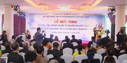 Vietnam celebra el Día Internacional de las Personas con Discapacidad - ảnh 1