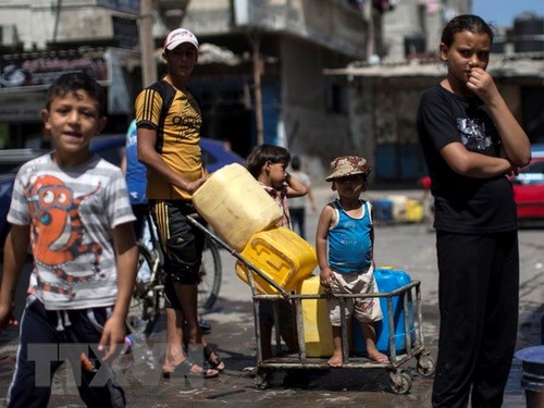 Titular de la ONU resalta importancia de la solidaridad con el pueblo palestino - ảnh 1