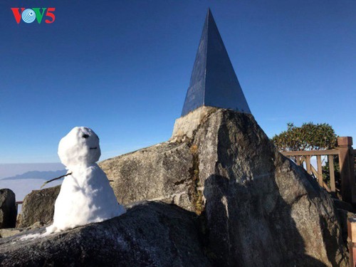 Montaña Fansipan ataviada por la nieve - ảnh 3