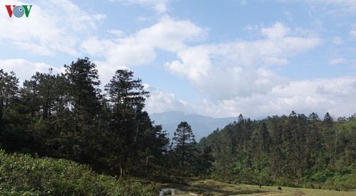 Mu Cang Chai tranquilo en invierno - ảnh 1