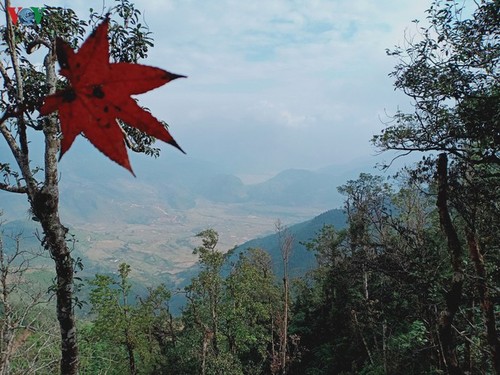 Mu Cang Chai tranquilo en invierno - ảnh 5