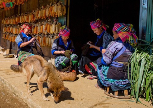 Mu Cang Chai tranquilo en invierno - ảnh 7