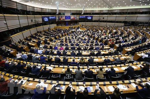 Ratifica la Unión Europea el acuerdo de Brexit - ảnh 1