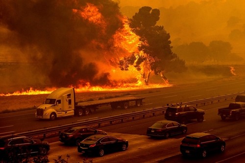 Comunidad internacional intensifica esfuerzos por hacer frente al cambio climático - ảnh 1