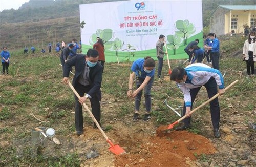 La Unión de Jóvenes Comunistas Ho Chi Minh lanza el Mes de Juventud y Tet de plantación 2021 - ảnh 1