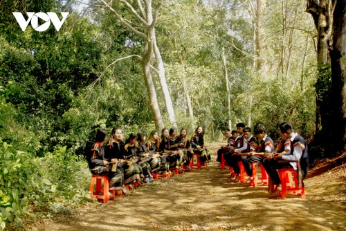 Intercambio artístico entre jóvenes apasionados por los gongs en Buon Ma Thuot - ảnh 1