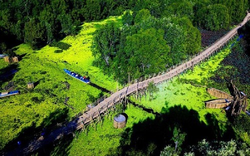 El bosque de cajeput de Tra Su - ảnh 12