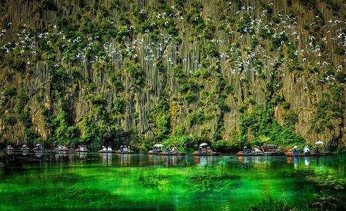 Un Vietnam único a través del lente de fotógrafos internacionales  - ảnh 15