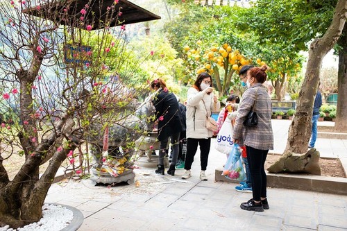 Visitas a las pagodas a principios del Año Nuevo Lunar: belleza cultural de Vietnam - ảnh 4