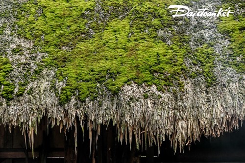 Belleza de la aldea Ta Phin en la provincia de Ha Giang - ảnh 6