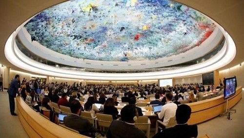 Vietnam contribuye a la promoción y protección mundiales de los derechos humanos - ảnh 1