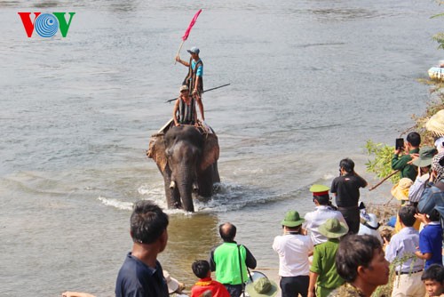 ブオンドンの象祭り - ảnh 12