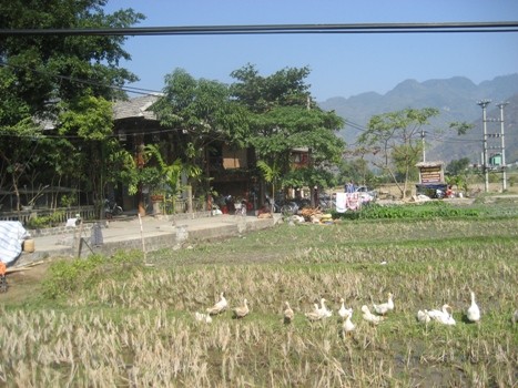 私が見たモクチャウ（3） - ảnh 2