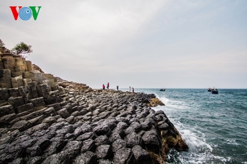 独特の美しさを持つダディア急流 - ảnh 12