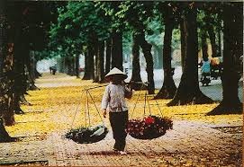 １０月１５日のおしゃべりタイム - ảnh 1