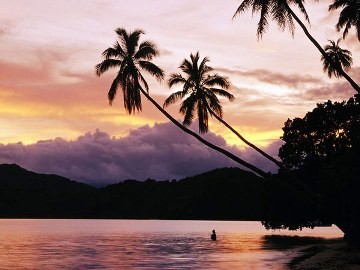 夕日や朝日をテーマにした歌 - ảnh 2