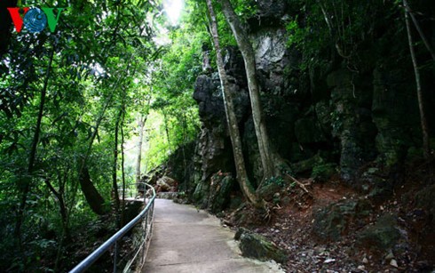 ティエンドゥオン（天国）洞窟の美しさ（１） - ảnh 2