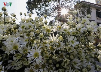 おしゃべりタイム（11月30日） - ảnh 1