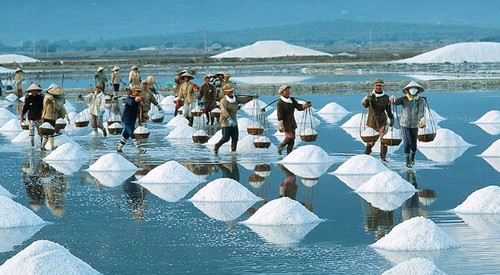 ベトナムの塩田に関する歌 - ảnh 1