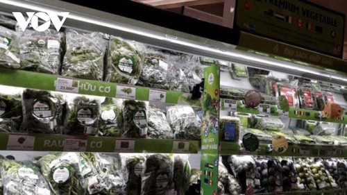 グリーン経済発展を目指すスタートアップ - ảnh 1