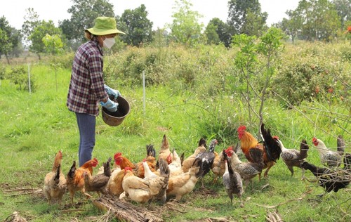 循環型農業の開発で成功したスタートアップ - ảnh 2