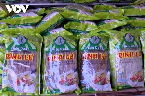 旧正月テト向けの春雨の生産に向けたビンルー村 - ảnh 1