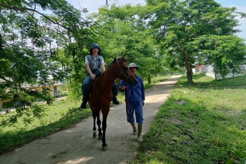 タイグエン省のバーバン馬牧場 の訪問 - ảnh 2