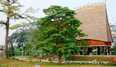 Museum Etnologi Vietnam - ruang kebudayaan Vietnam - ảnh 5