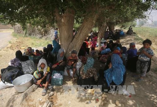 Tentara Irak membentuk koridor aman untuk mengungsi penduduk sipil  ke luar  kota Fallujah - ảnh 1