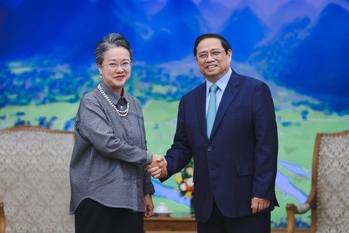 Vietnam advocates effort to promote global peace, cooperation, development  - ảnh 1