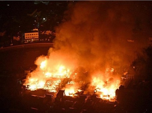 No Vietnamese victims in Japan earthquake - ảnh 1