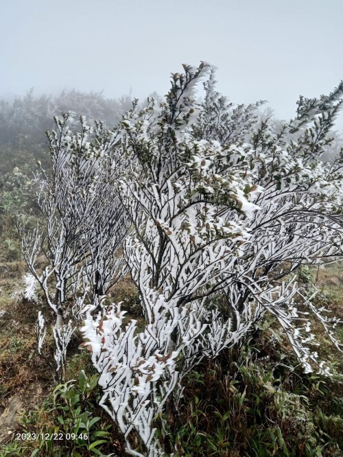 Wednesday January 31, 2024 - ảnh 1