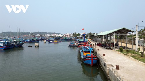 Binh Dinh strives to combat IUU - ảnh 1