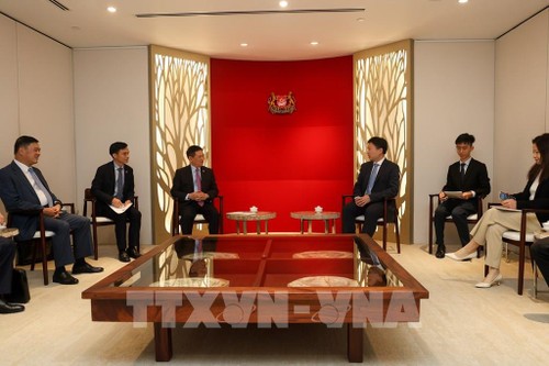 Vietnam, Singapore discuss financial experience - ảnh 1